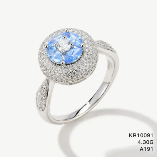 KR10091