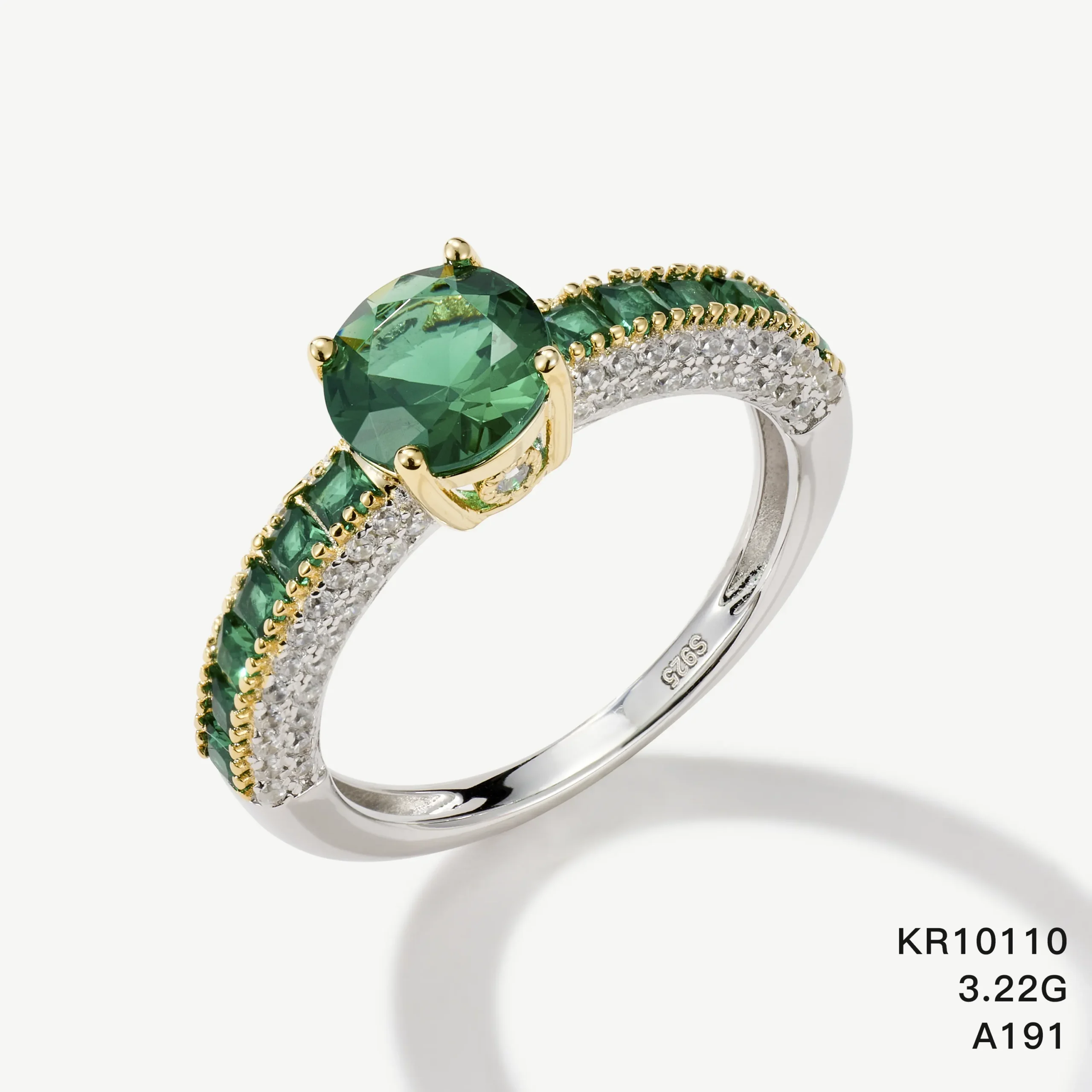 KR10110