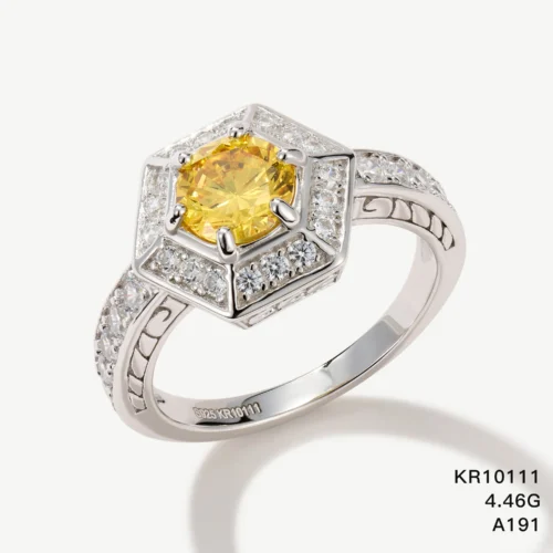 KR10111