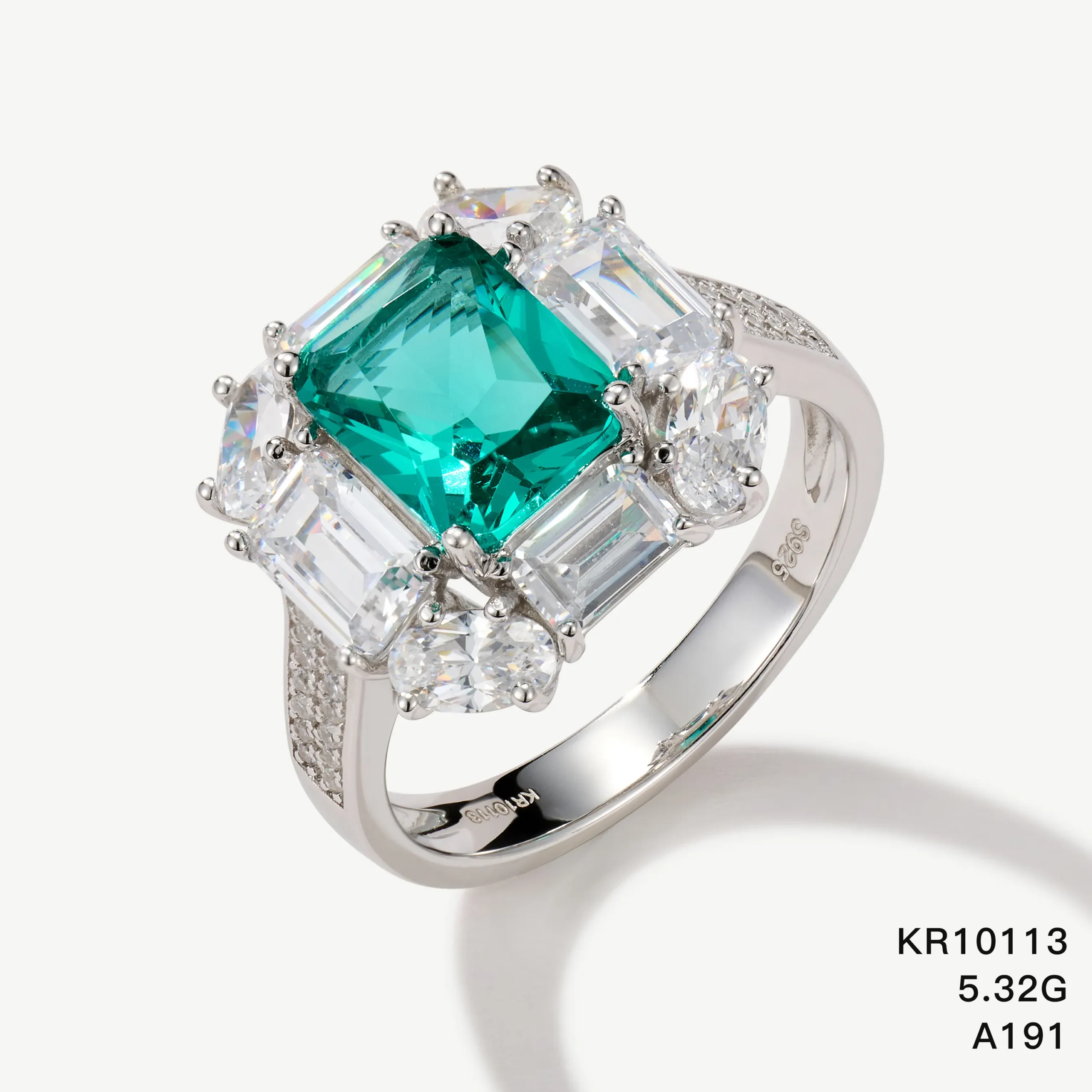 KR10113