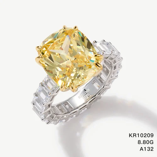 KR10209