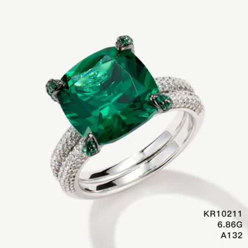 KR10211