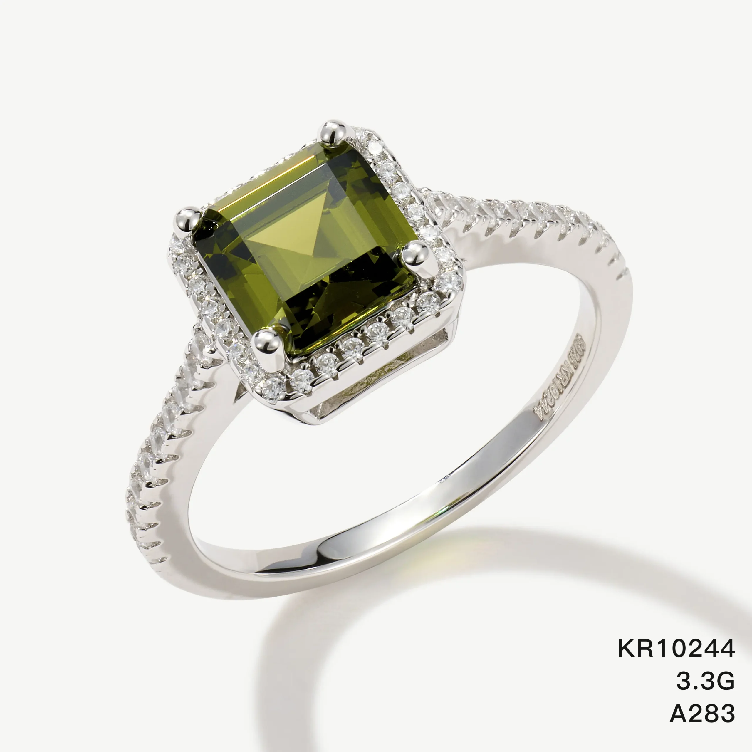 KR10244