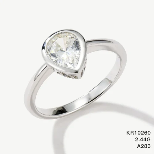 KR10260