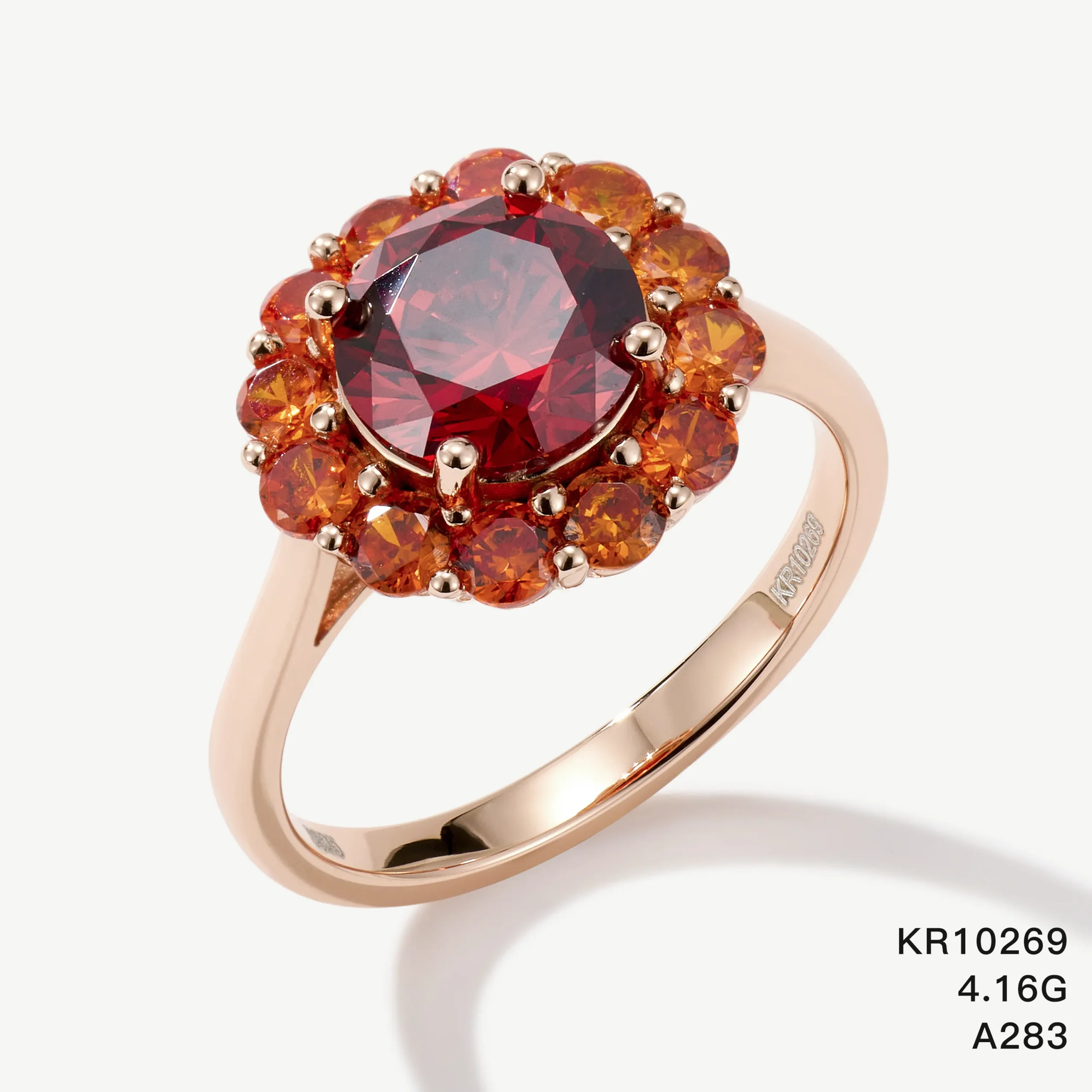 KR10269