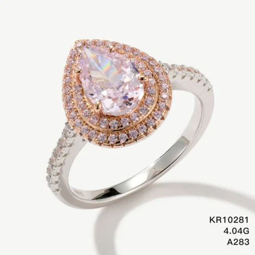 KR10281