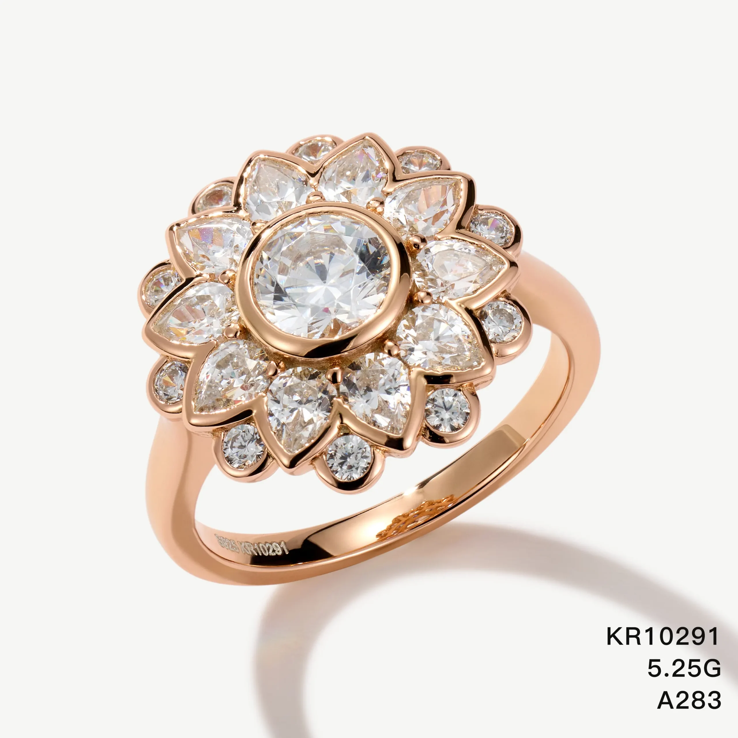 KR10291