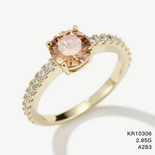 KR10306