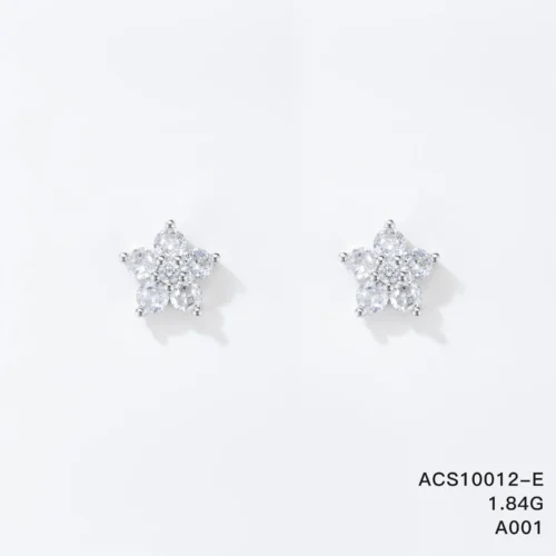 ACS10012-E