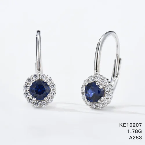 KE10207