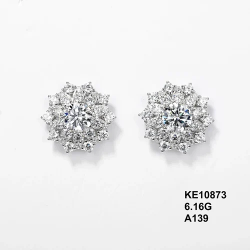 KE10873