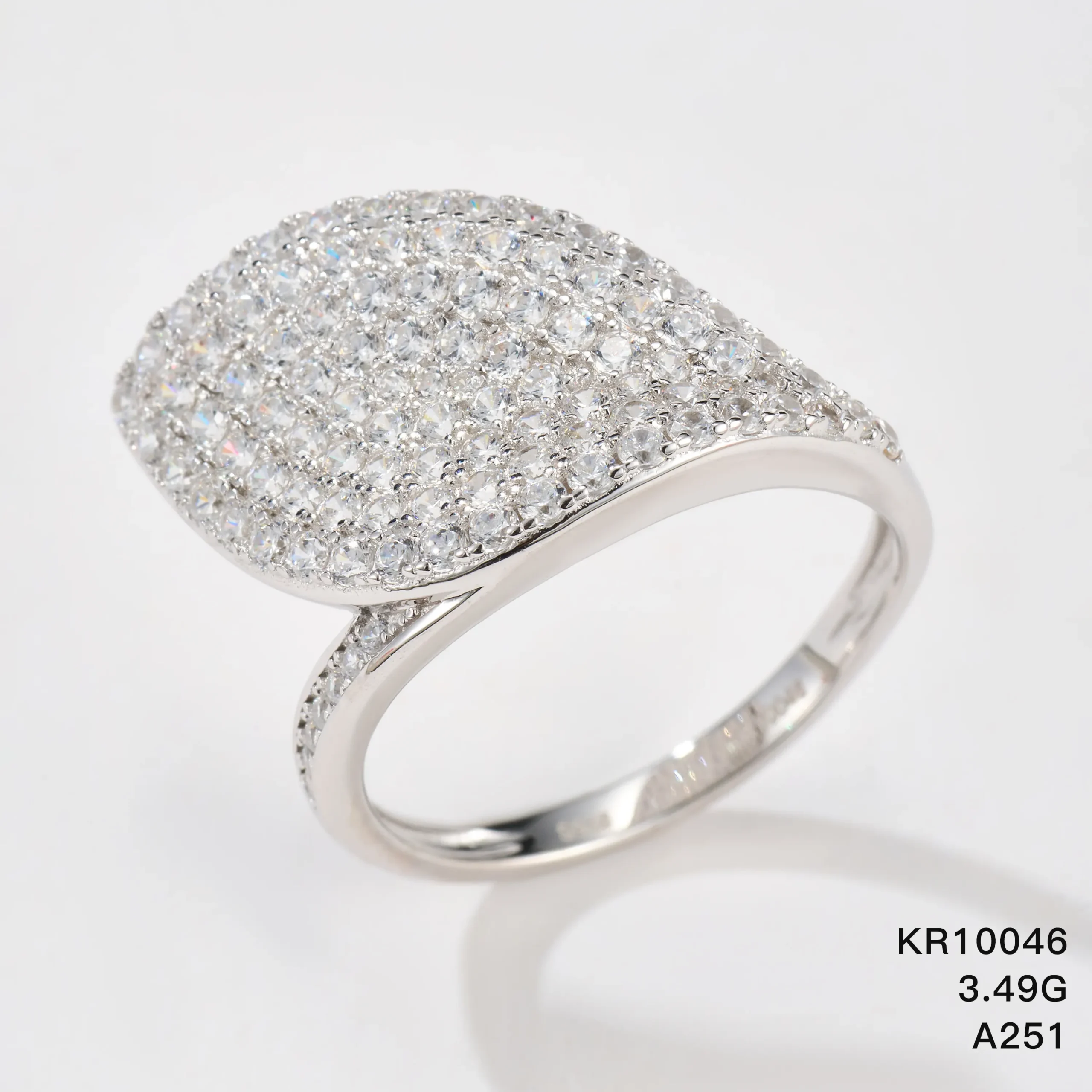 KR10046