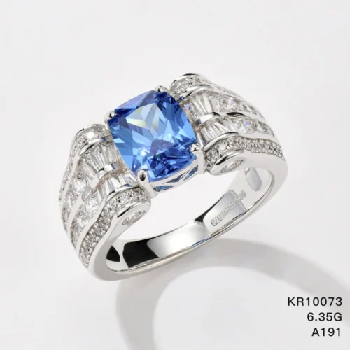 KR10073
