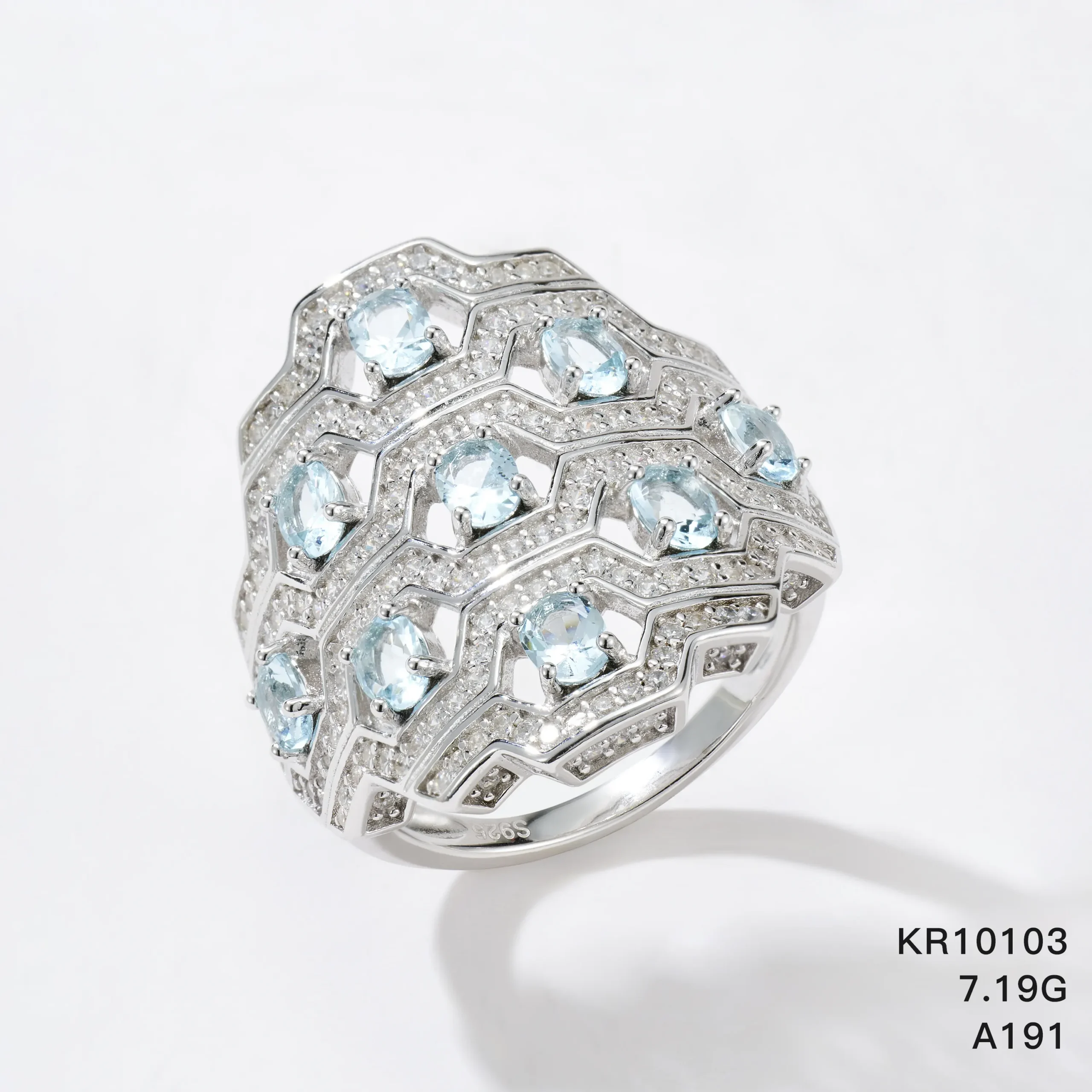 KR10103