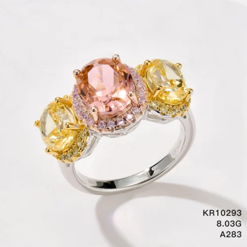 KR10293