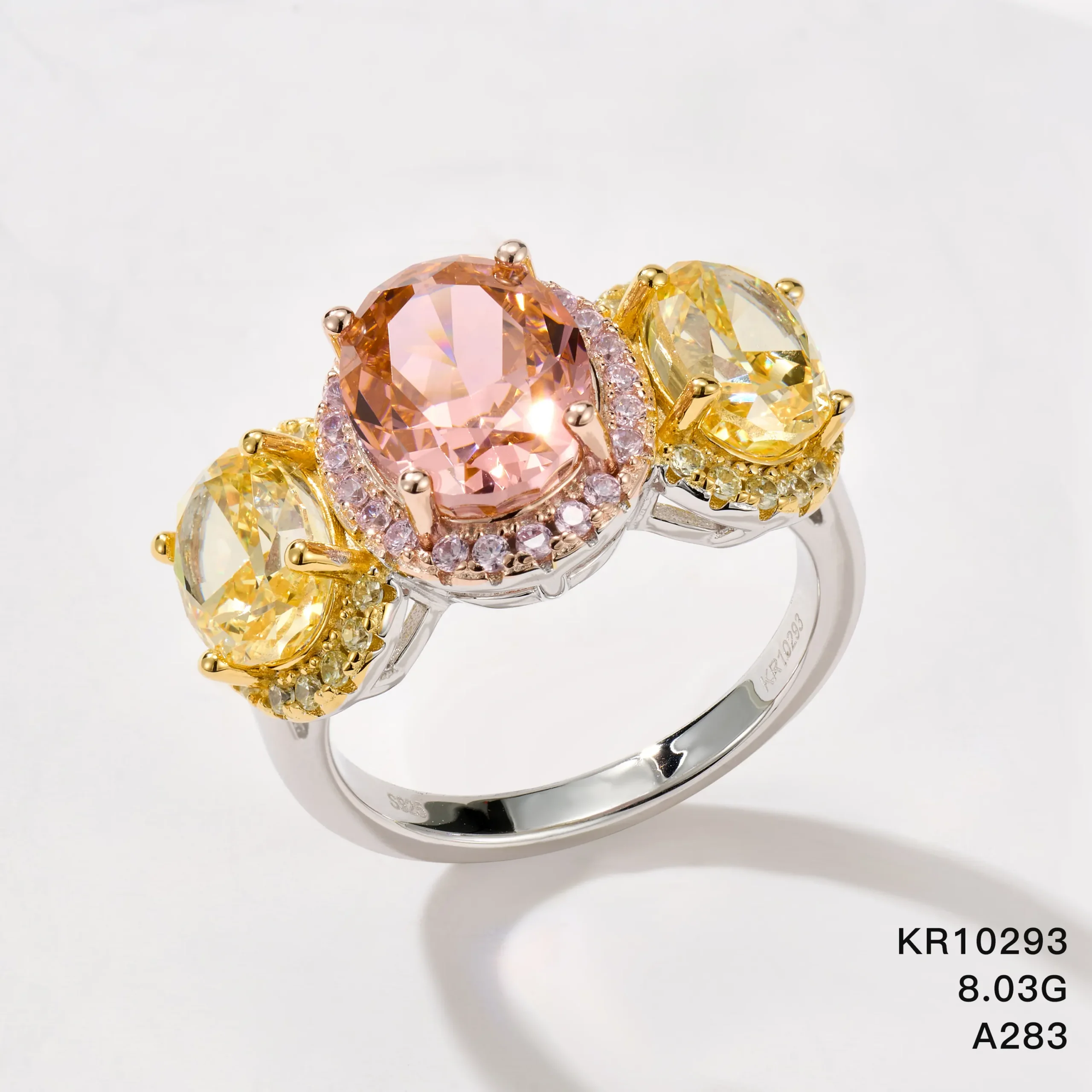 KR10293
