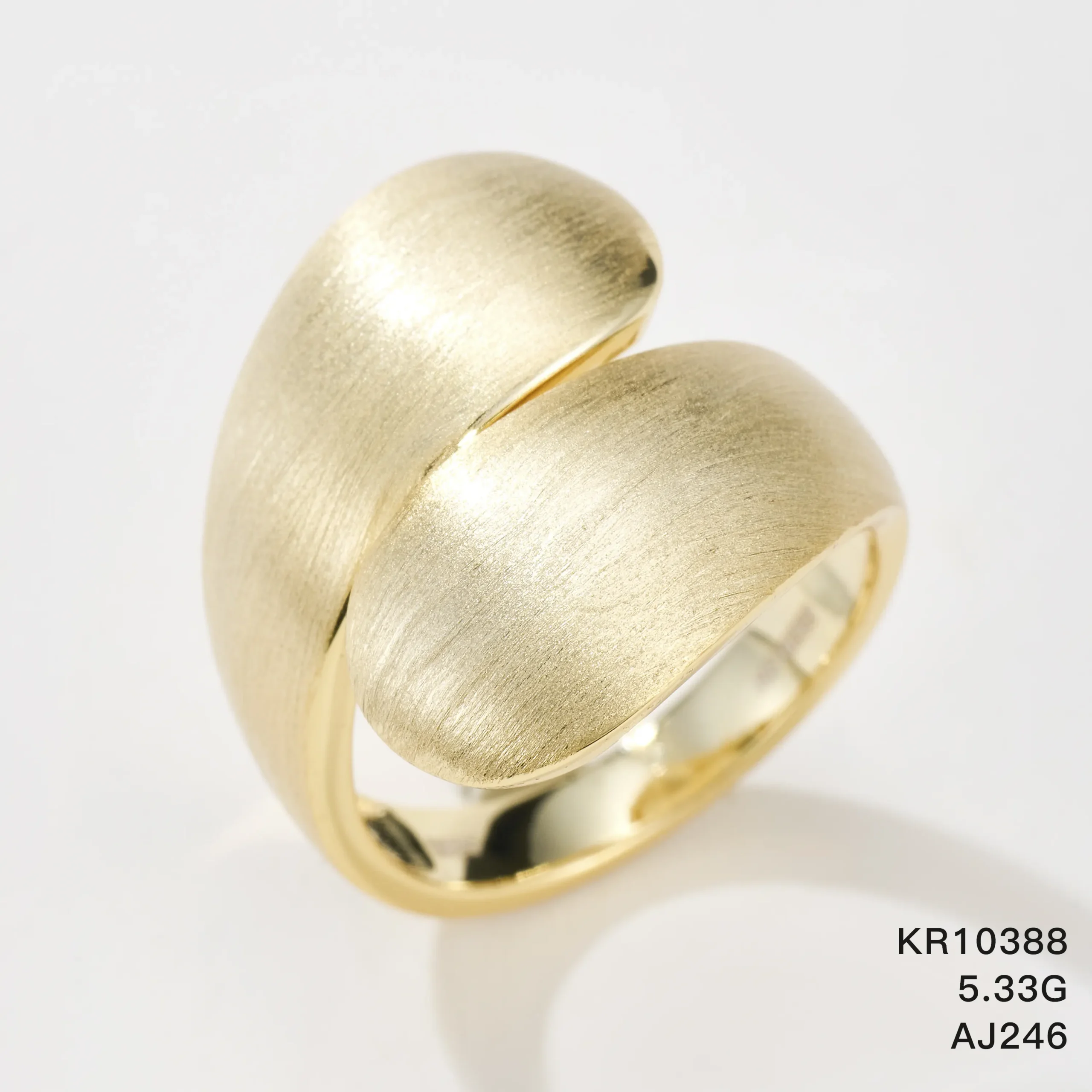 KR10388