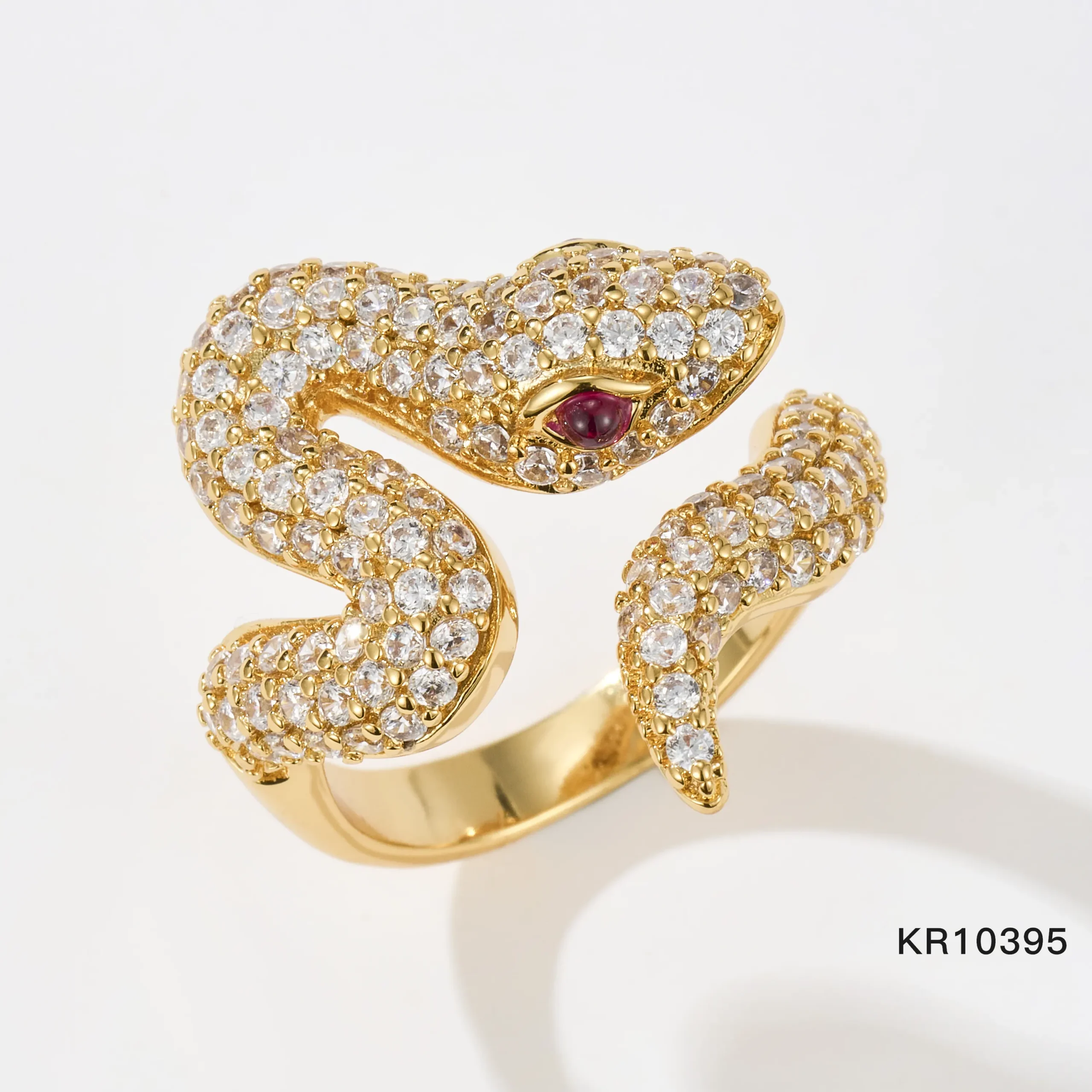 KR10395