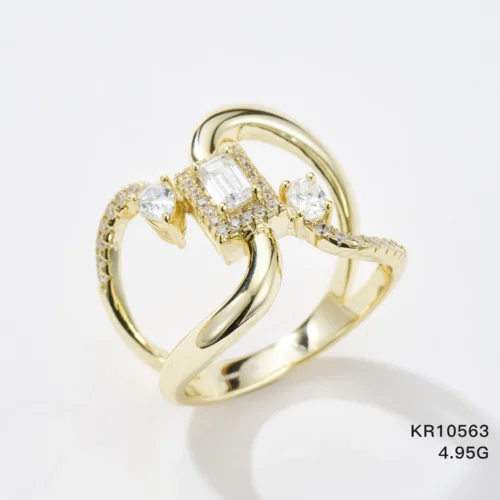 KR10563