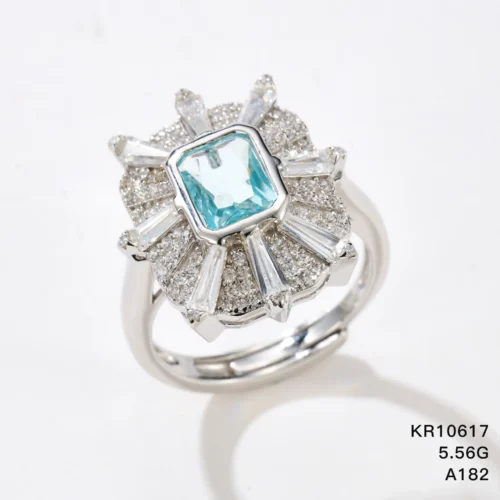 KR10617