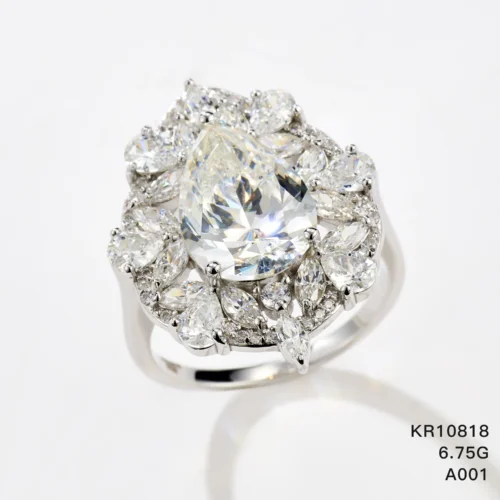 KR10818