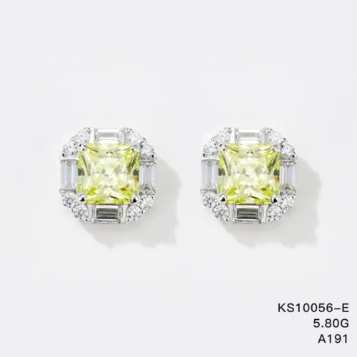 KS10056-E