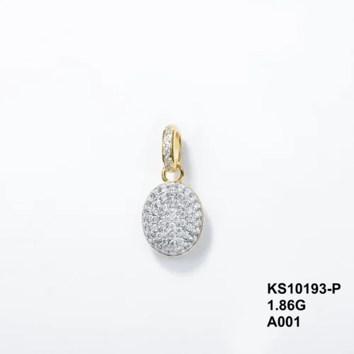 KS10193-P