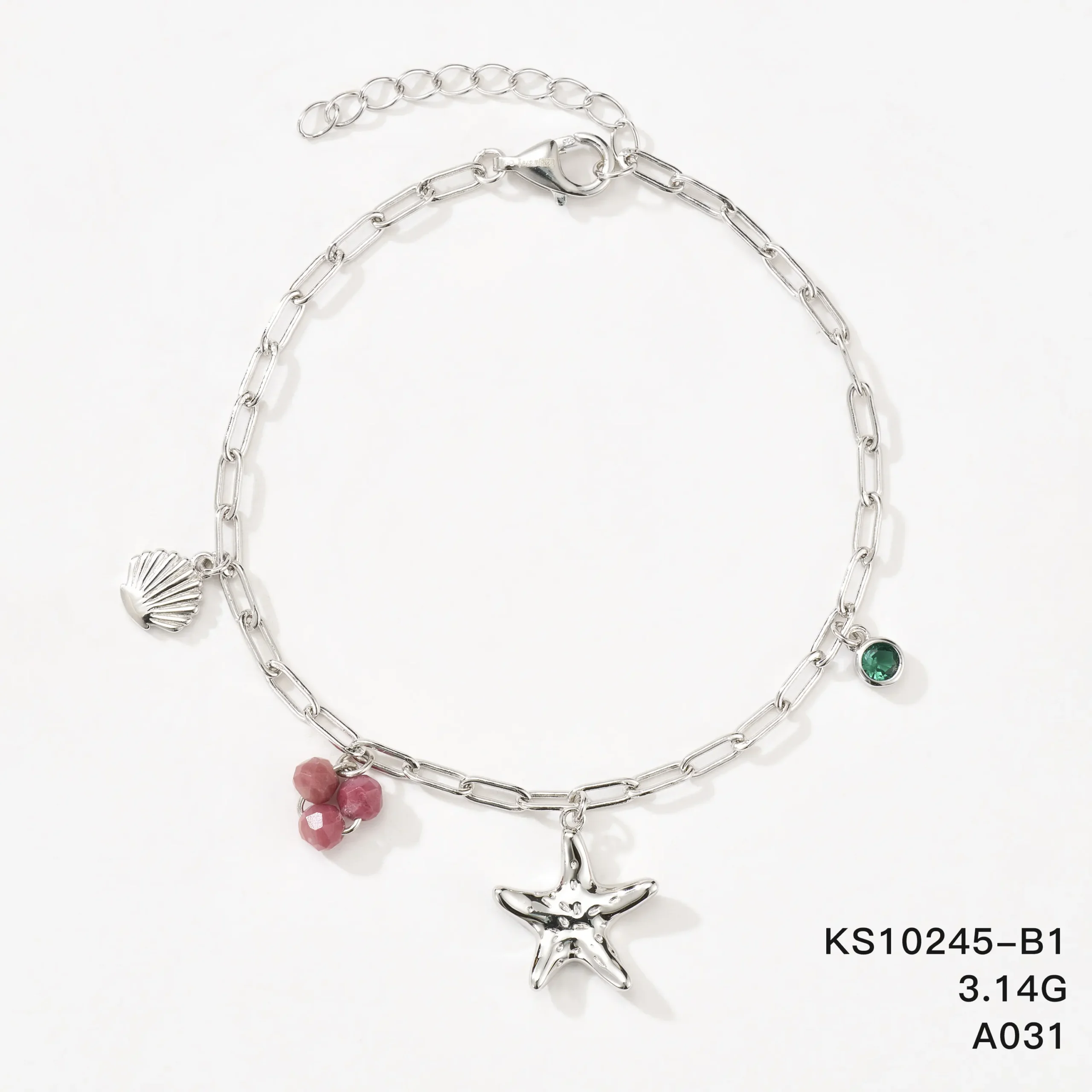 KS10245-B1