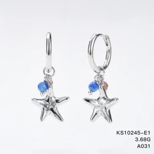 KS10245-E1