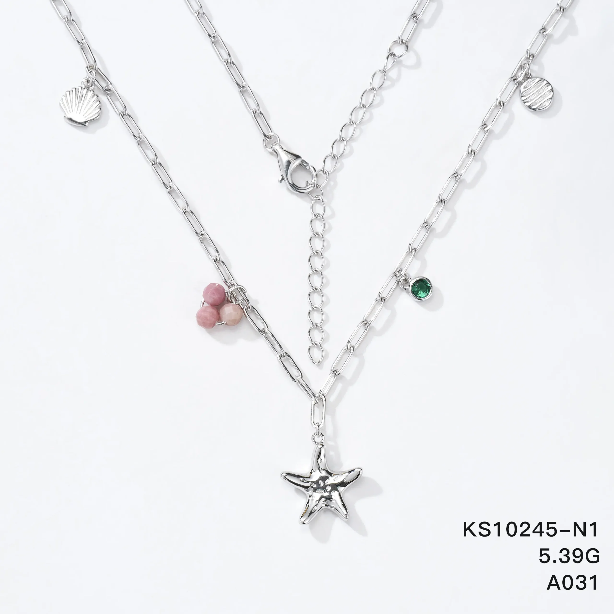 KS10245-N1