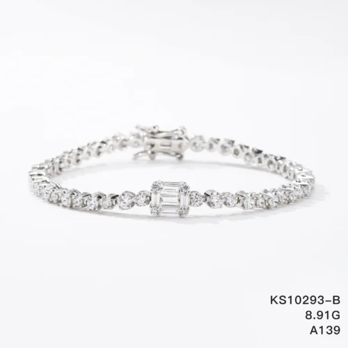 KS10293-B