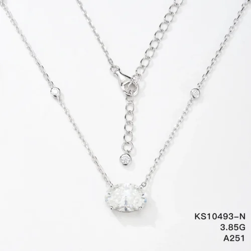 KS10493-N