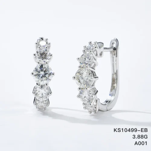 KS10499-EB