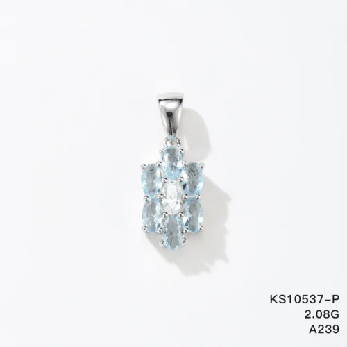 KS10537-P