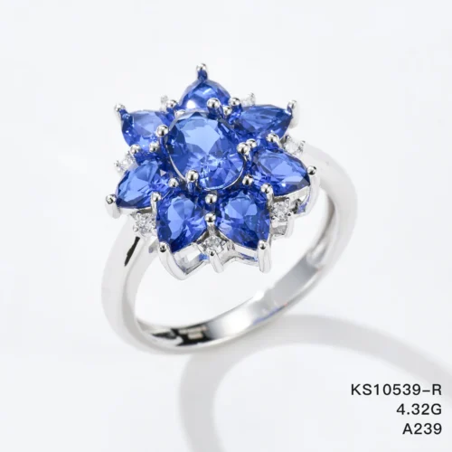 KS10539-R_2
