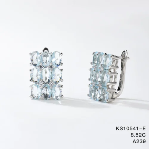 KS10541-E