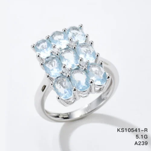 KS10541-R_1