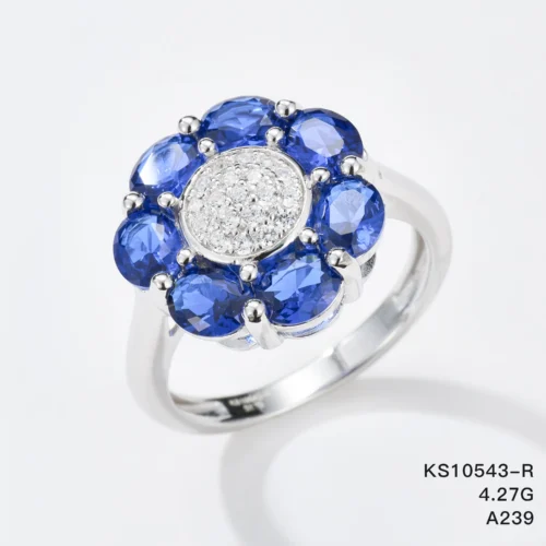 KS10543-R_2