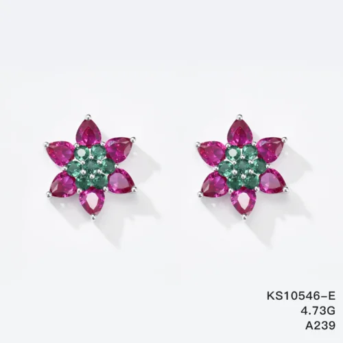 KS10546-E