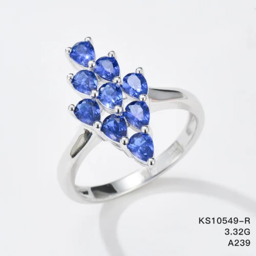 KS10549-R