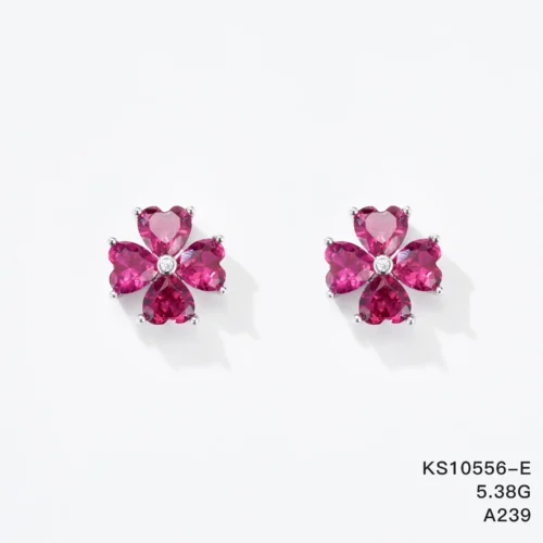 KS10556-E
