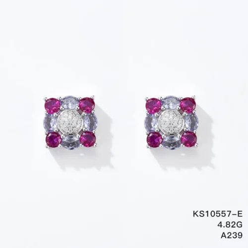 KS10557-E