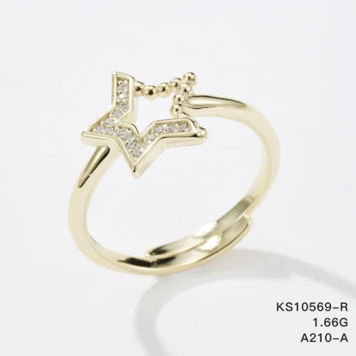 KS10569-R