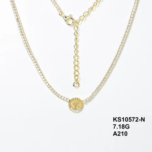 KS10572-N