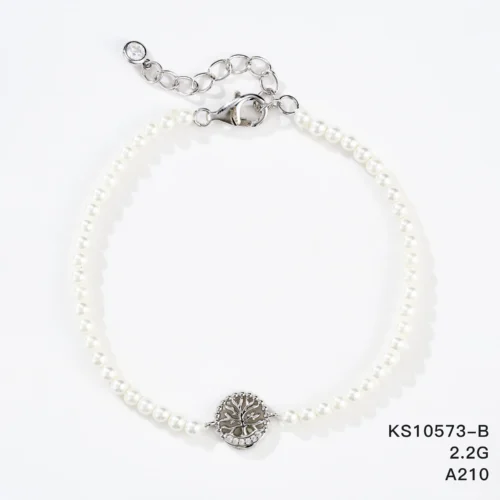 KS10573-B