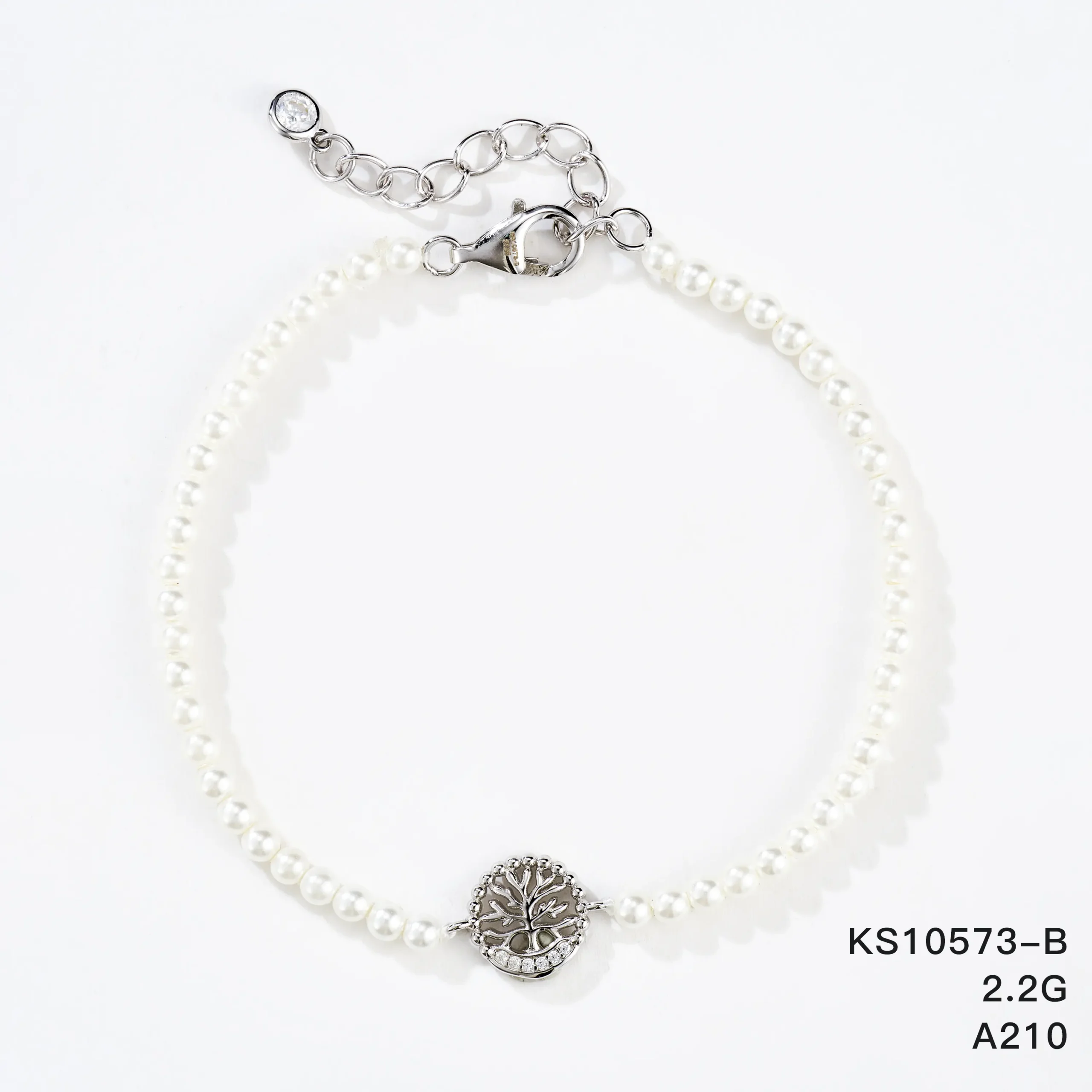 KS10573-B