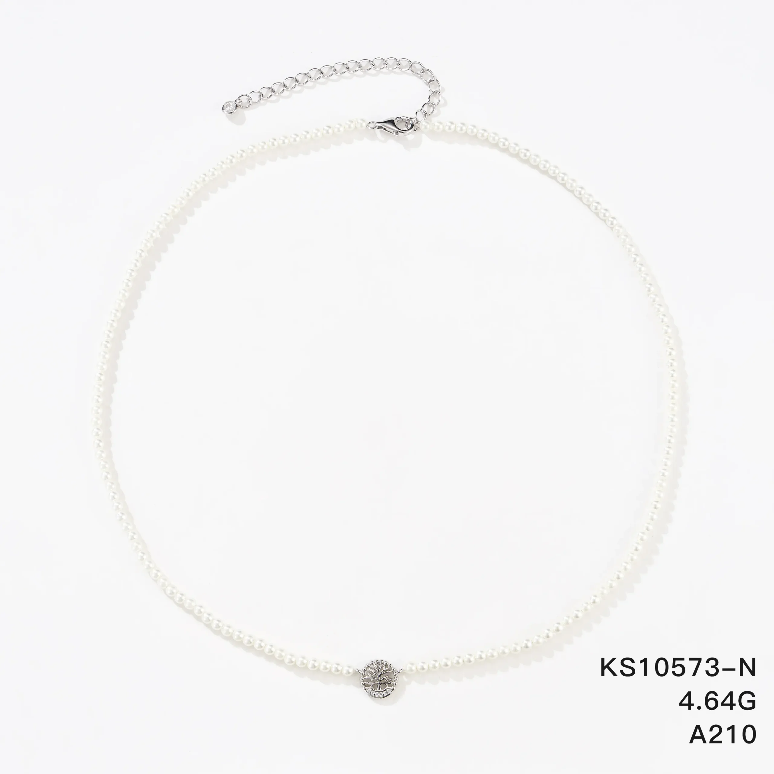 KS10573-N
