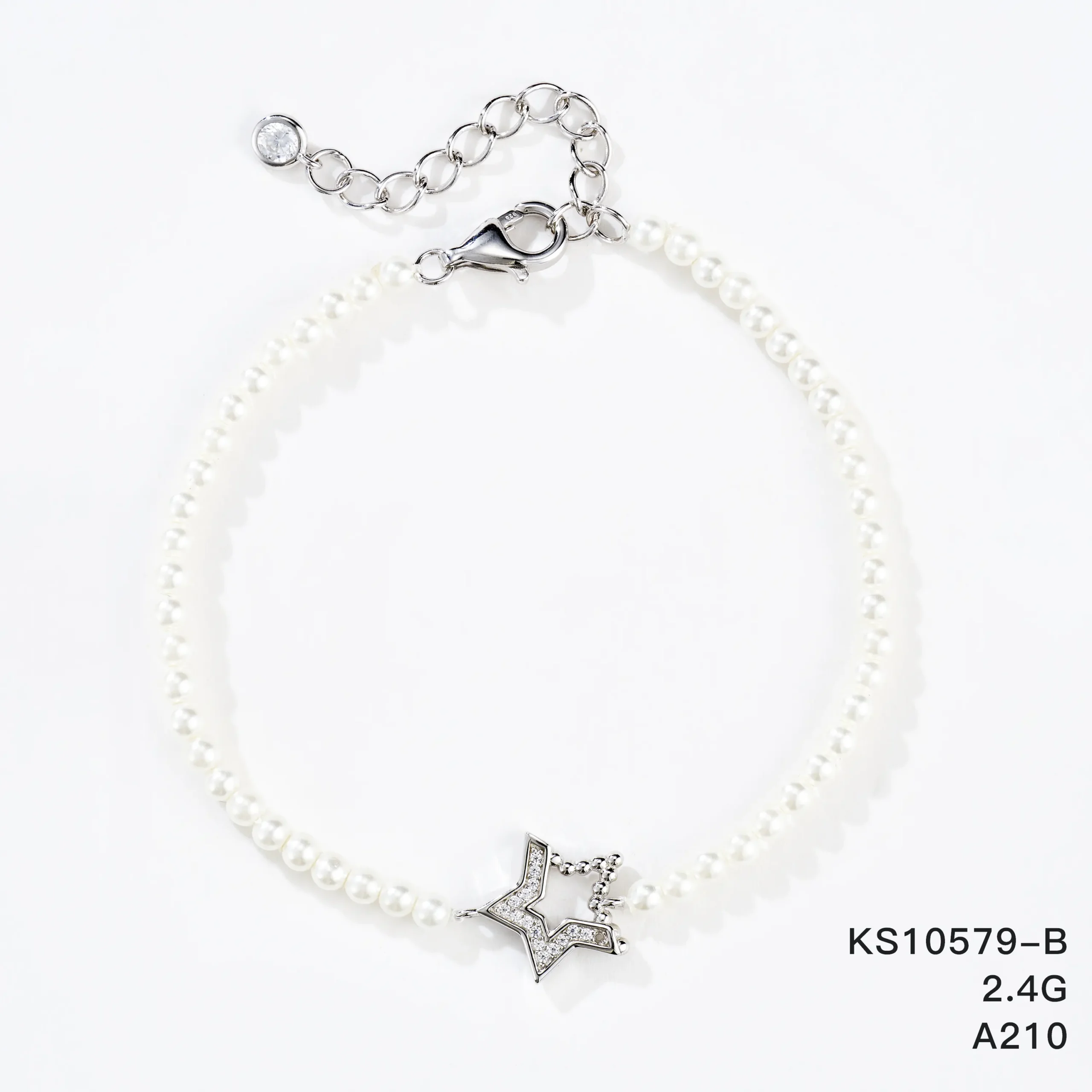 KS10579-B