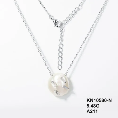 KS10580-N
