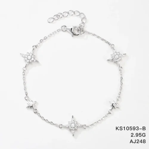 KS10593-B